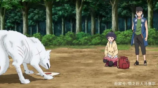 博人传：小葵拿走香肠，川木多背一口锅，她为什么要这么做？