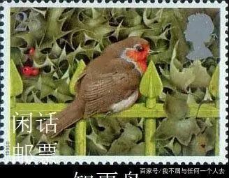 什么是“罗宾”？是勇敢，忠诚，神秘的英国国鸟，知更鸟