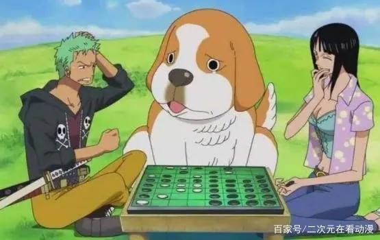 海贼王:索隆和罗宾的2个小秘密,有些事情,看破不说破最好