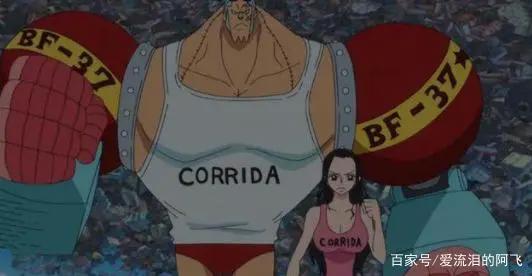 海贼王：能与罗宾组CP的5个人，你最支持哪一个？