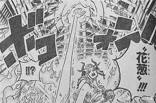 海贼王1021话：黑色恶魔！罗宾武装色霸气全覆盖，桃之助要变大人