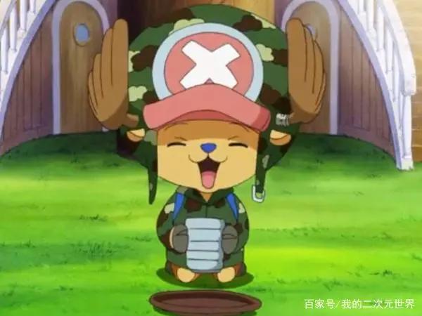 海贼王：从路飞、山治等船员身份猜测，娜美、索隆身世不简单