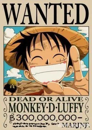 海贼王——路飞找同伴，不管答不答应其实心里都想加入