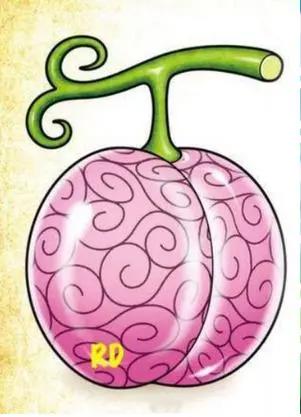 恶魔果实图鉴大赏，持续更新，第一更超人系部分