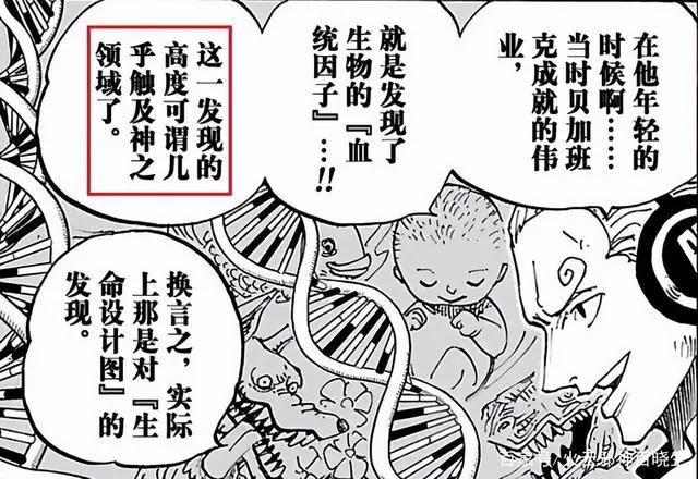 原来海贼王中的D是这个意思？
