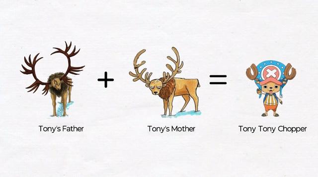 《海贼王》家族人际关系公示，乔巴果然是靠脸吃饭的物种