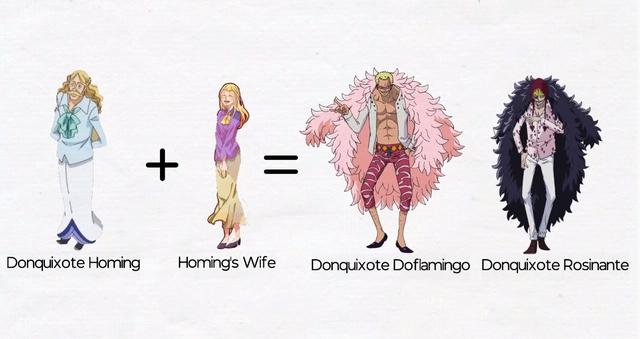 《海贼王》家族人际关系公示，乔巴果然是靠脸吃饭的物种