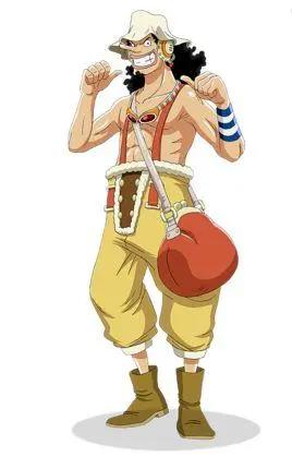 海贼王-草帽海贼团的第十位成员已经确定了