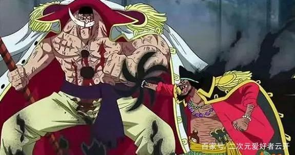 海贼王里大家的身高排行，自从看了海贼，楼都不觉得高了