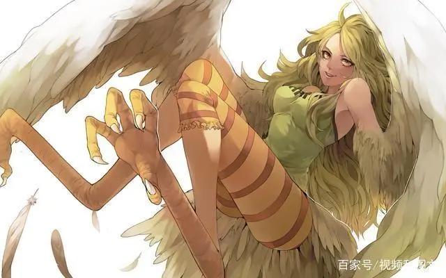 海贼王中的各大美女，哪位才是你心中独一无二的女神？