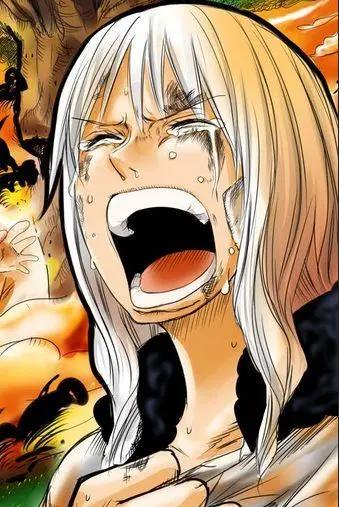 《海贼王》那些我们爱的女神，你有你喜欢的在吗？一定没想到有她