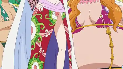 她们是海贼王中9位女神，与路飞交际颇深而且将近一半是公主