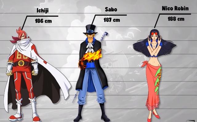 海贼王数据公示2:罗宾长腿令女生羡慕,山治家族只有两个正常人