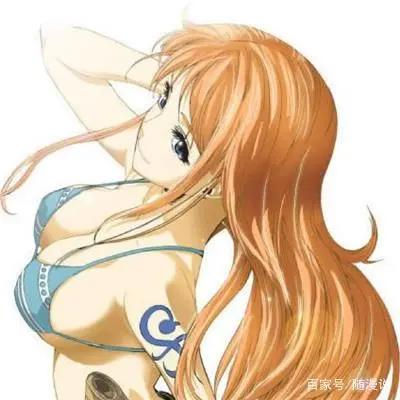盘点海贼王中的美女！个个身材火爆？！