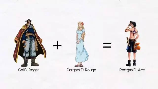 《海贼王》人际关系图，罗宾与路飞的家长至今还是一个迷