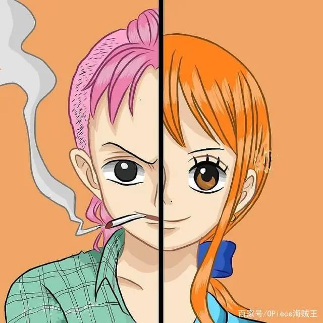 草帽船员背后的梦想支撑者！他们是未来海贼王船队前行的动力