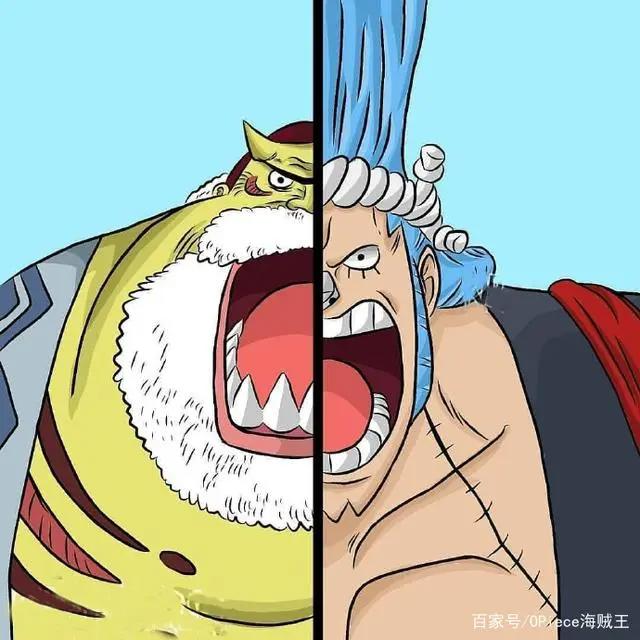 草帽船员背后的梦想支撑者!他们是未来海贼王船队前行的动力