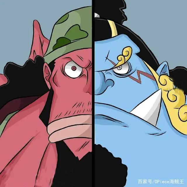 草帽船员背后的梦想支撑者！他们是未来海贼王船队前行的动力