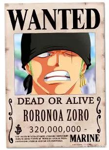 草帽海贼团十人满员