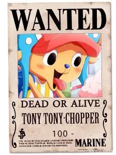 草帽海贼团十人满员