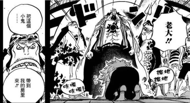 海贼王中7位女性少年悲苦凄惨，如今却美丽大方，苦尽甘来！