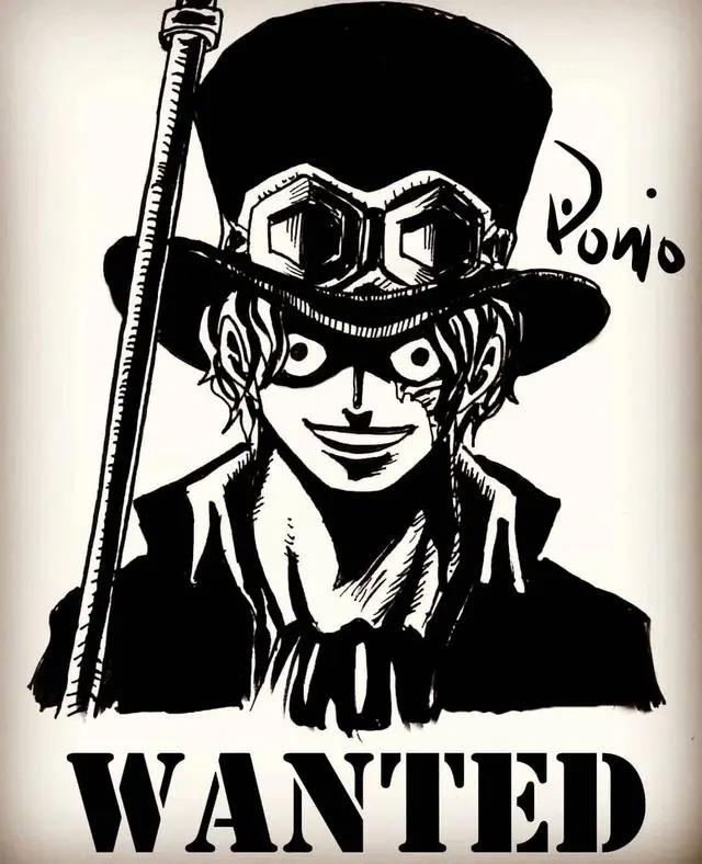 海贼王：二十一位角色黑白悬赏令，路飞他们又不带甚平玩了