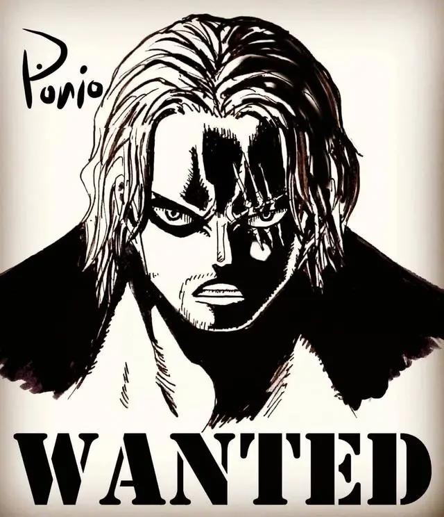 海贼王：二十一位角色黑白悬赏令，路飞他们又不带甚平玩了