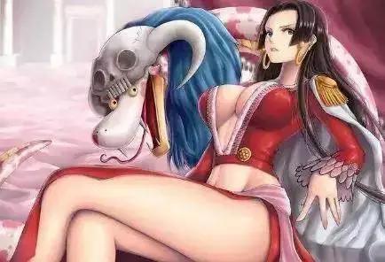 海贼王：最具魅力的五位美女，女帝罗宾都上榜！