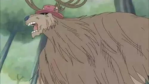 《海贼王》“萌神乔巴”身世让人泪目！被同类抛弃，被人类猎杀！