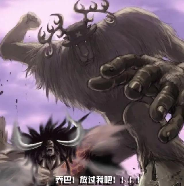 海贼王：尾田确认乔巴实力！2年后吃下蓝波球，能硬接大妈斩击！