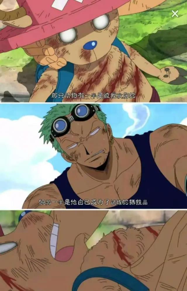 《海贼王》索隆和乔巴才是最有爱的一对，太可爱了
