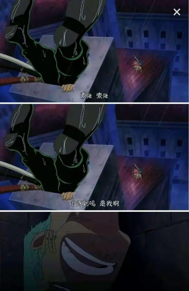 《海贼王》索隆和乔巴才是最有爱的一对，太可爱了