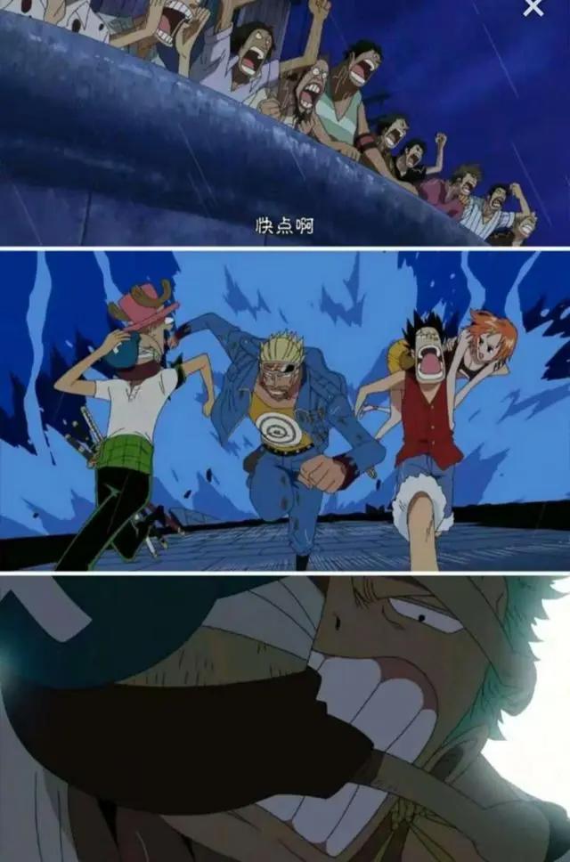 《海贼王》索隆和乔巴才是最有爱的一对，太可爱了