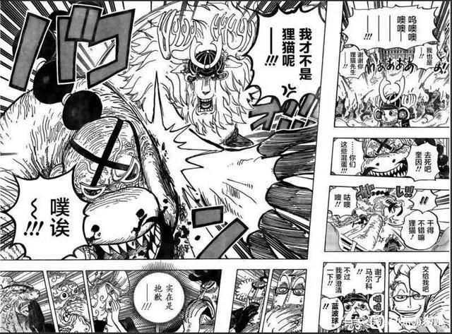 海贼王：乔巴才是草帽团二把手，拳打四皇脚踢三灾