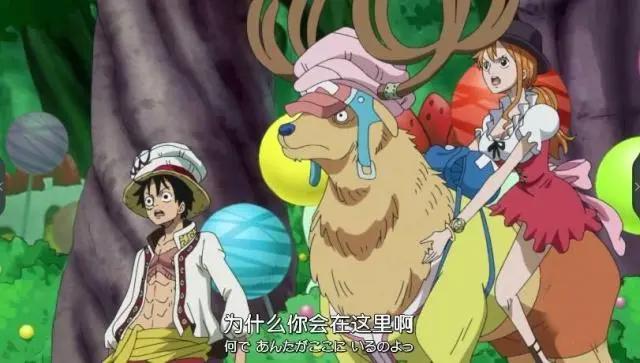 海贼王:乔巴才是“可怜人”,这5张图足以佐证,网友:想抱抱他