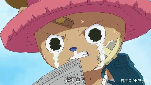 海贼王:草帽团三弱之乔巴