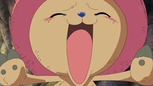 海贼王：乔巴的那些过往秘事