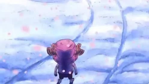 海贼王：乔巴的那些过往秘事