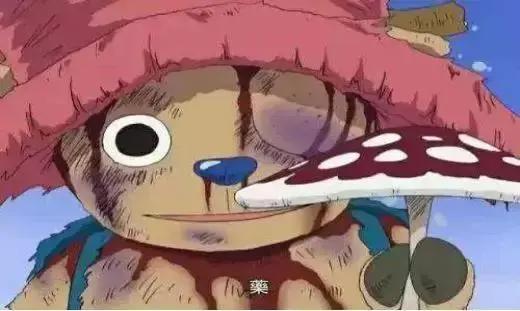 盘点海贼王经典催泪片段，乔巴的身世，看一次哭一次