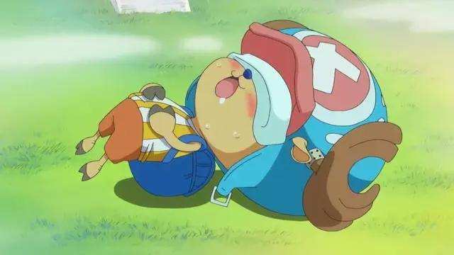 海贼王:乔巴到底有多少身份?船医不是重点,她把乔巴当男人撩