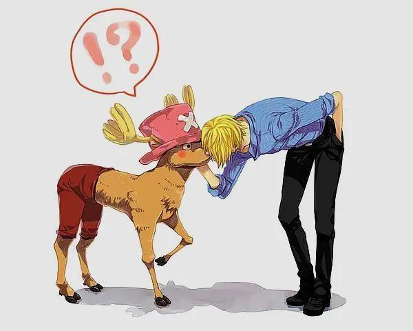 海贼王：乔巴，万千宠爱于一身，草帽海贼团第一个能号令四皇的人