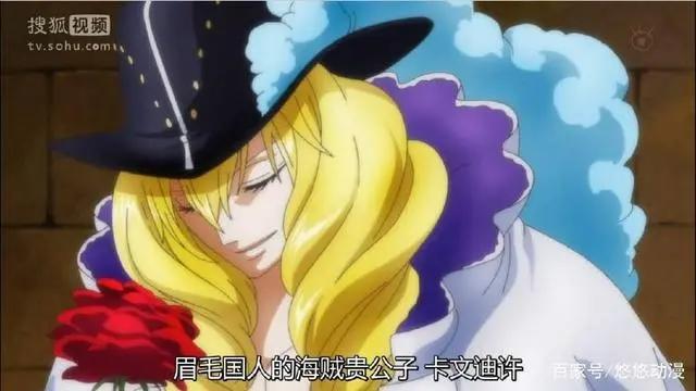 乔巴将离开草帽团，因为这个人，将顶替乔巴的位置！