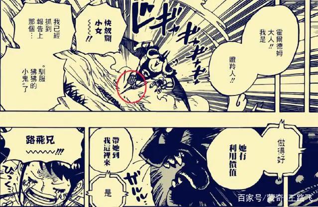 海贼王和之国篇，山治的对手已经上线，山治粉丝要彻底崛起了