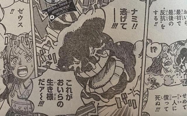 海贼王1013话，你注意到娜美这个细节了吗？宙斯没有死，他还活着