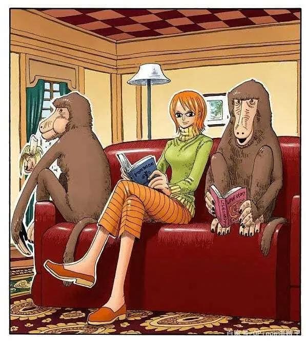 被称为小贼猫的海贼王女孩！那些娜美酱有趣的扉页故事