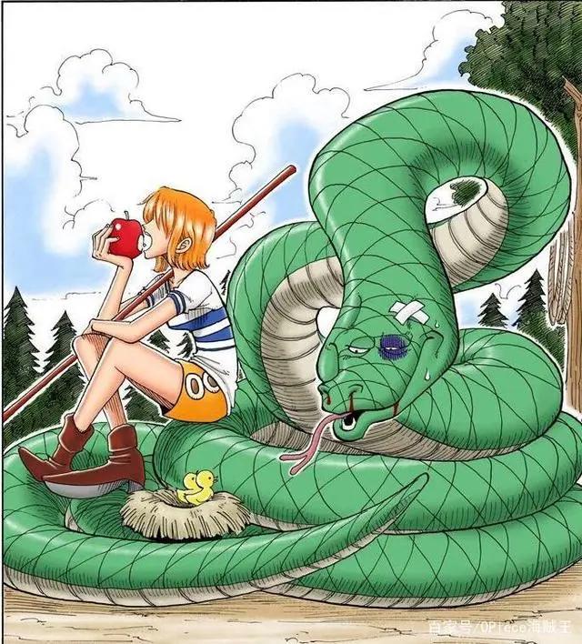 被称为小贼猫的海贼王女孩！那些娜美酱有趣的扉页故事