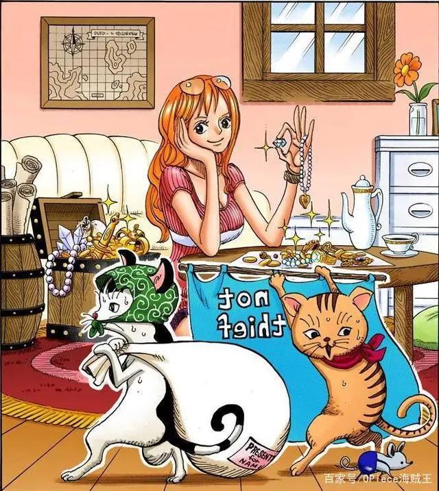 被称为小贼猫的海贼王女孩！那些娜美酱有趣的扉页故事
