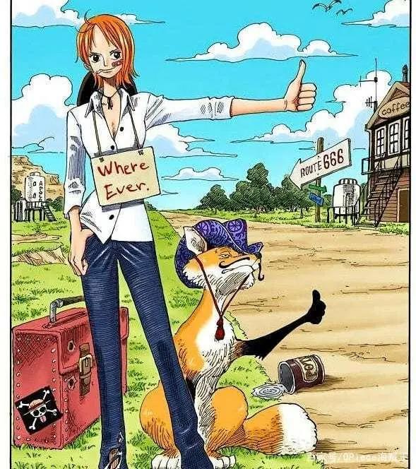 被称为小贼猫的海贼王女孩！那些娜美酱有趣的扉页故事