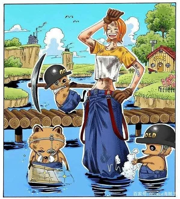 被称为小贼猫的海贼王女孩！那些娜美酱有趣的扉页故事