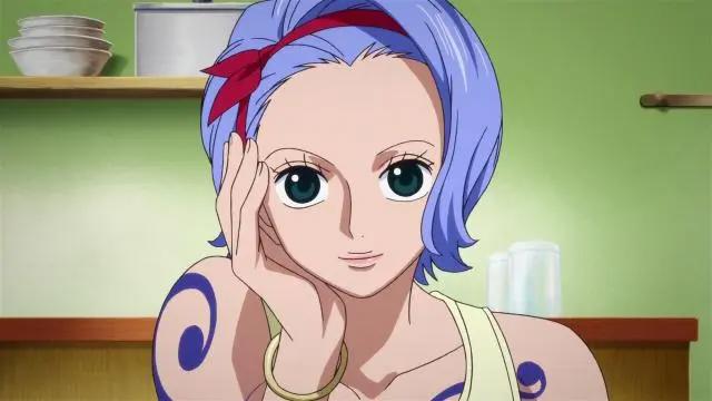 海贼王被遗忘的美女，温柔优雅的娜美姐姐诺琪高，她被作者忘了？